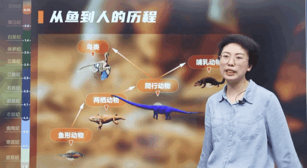 1299初中物理网