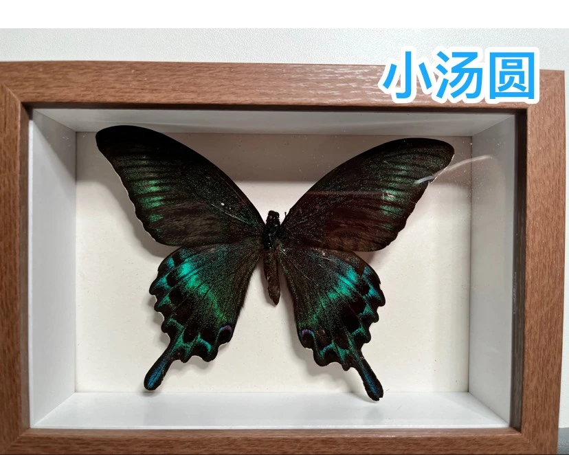 1299初中物理网