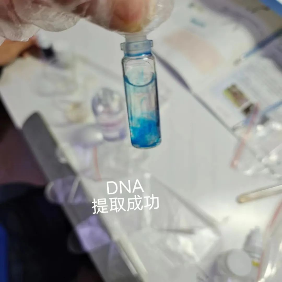 1299初中物理网