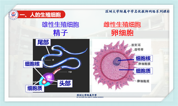 高中物理公开课