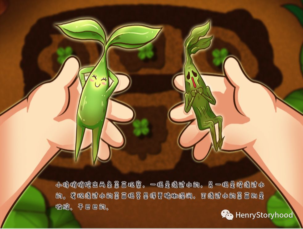 毛细管现象