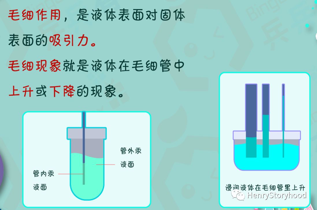 毛细管现象