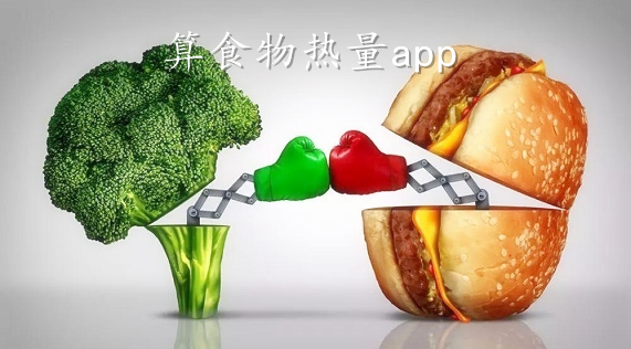 热量计算公式