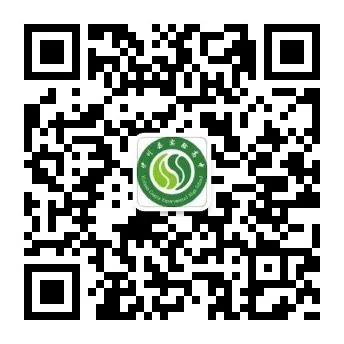 高中物理实验比赛