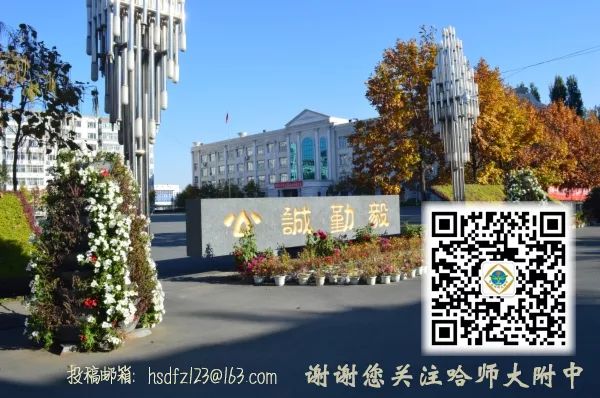 优秀高中物理教师