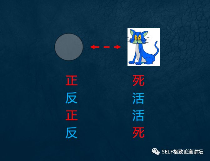 物理学家薛定谔