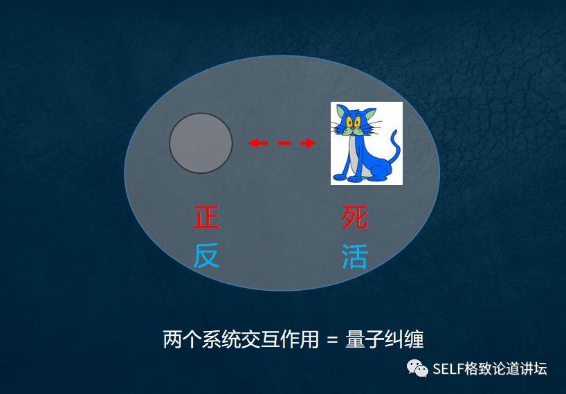 物理学家薛定谔