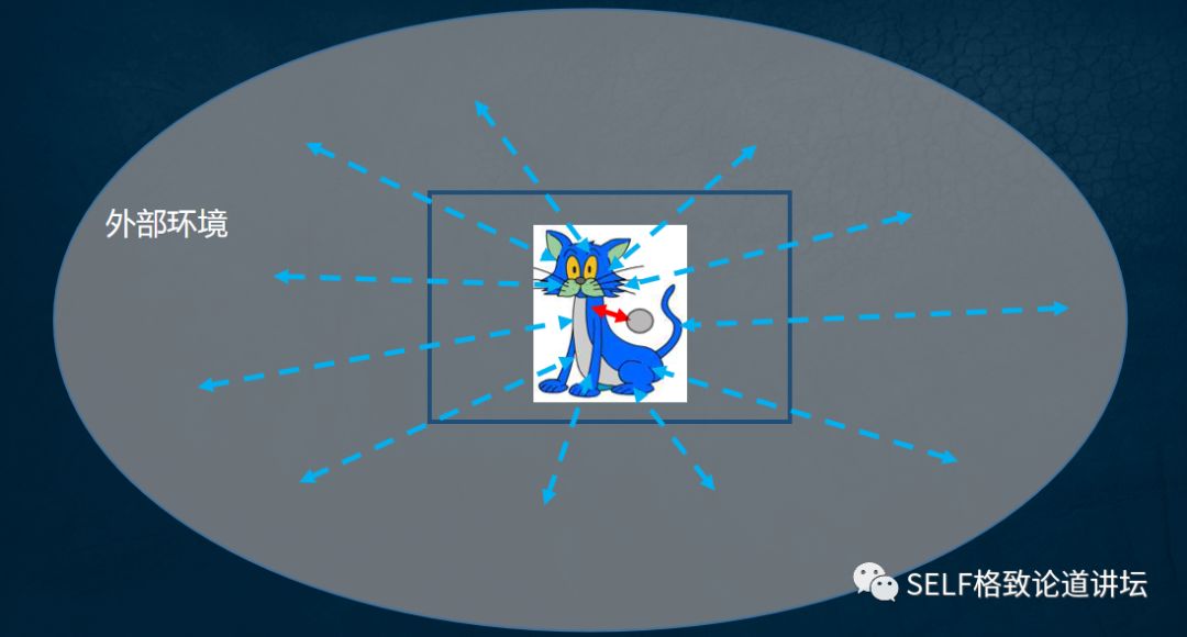 物理学家薛定谔