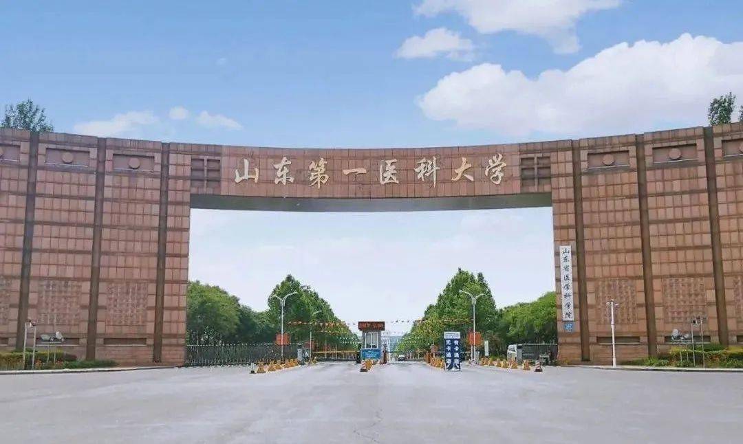 山东中医药大学录取分数线