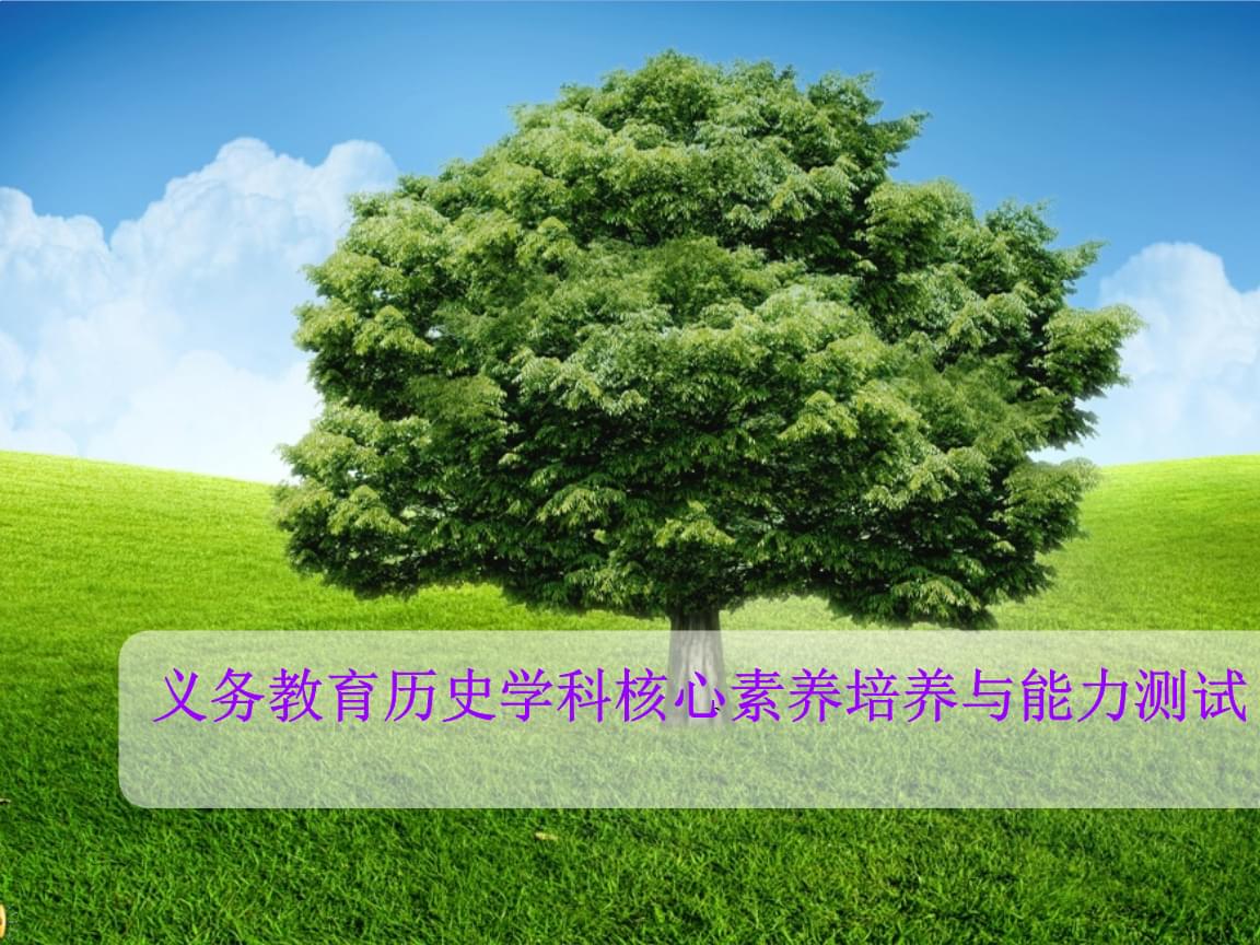 高中物理匀变速直线运动专题练习