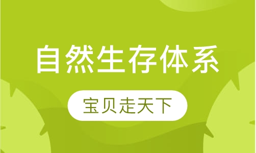 初中物理实验课程表