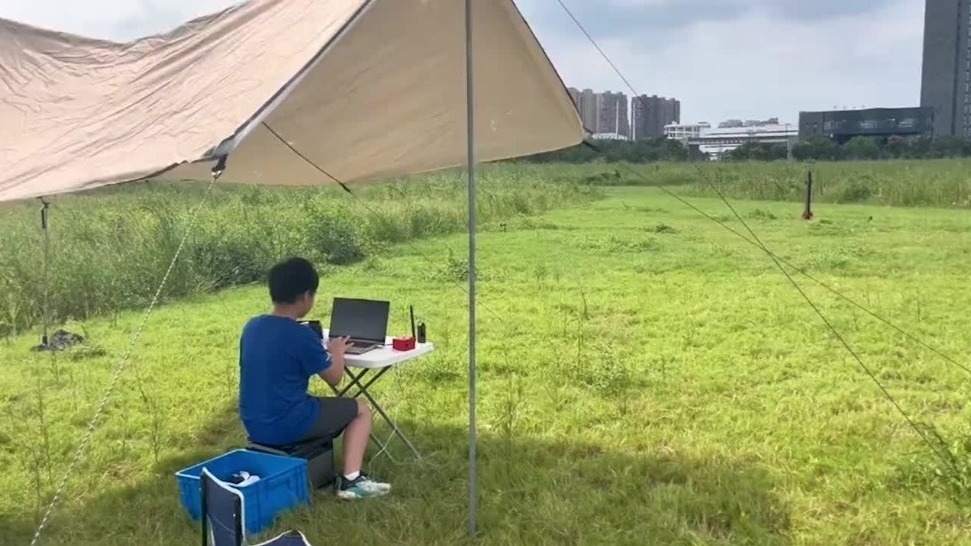 高中物理动量题
